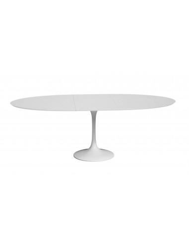 TULIP Oval table extensible plateau en laminé Comparez et commandez 