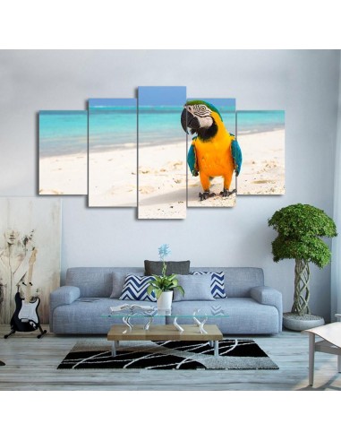 Tableau Ara sur le sable la chaussure