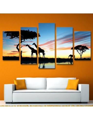 Tableau Savane Véritable concentré